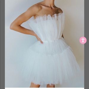 Untamed petals Arlington pearled mini dress